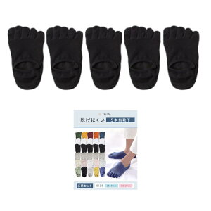 yz[bh life] y5Zbgz5{w\bNX Y fB[X ܖ{w\bNX ~ Ԃ V[g 킢    ܖ{wC C \bNX FFubNATCYFL Reg