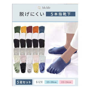 yz[bh life] y5Zbgz5{w\bNX Y fB[X ܖ{w\bNX ~ Ԃ V[g 킢    ܖ{wC C \bNX FF~bNXGATCYFL Re