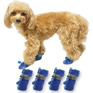 yzhbOV[Y ybgp C p iC h~ h~ hbOEFA ₯ M Up ی FFu[ATCYF4