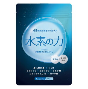 yzf̗ fTv 30 Zx Ҍ^f VJ |_ r^~C r^~E GMPH 48 ^