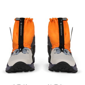 yzy oR QC^[ V[g h Xpbc V[g QC^[ gbLO AEghA ʋC jp [sAi] FFIW