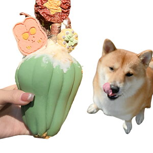 yzAZ-FRONT pm炨 Hh~ t[hfBXyT[ VR X[t[h{[ {[ ^s XgXU 1 (O[) FFO[