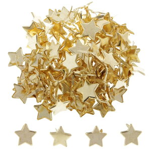 yzXXXLION s 100 s e e ߋ ȒPɋȂĎg ߂͂ ~js t@C J[h Œp ސ  DIY ANZT[iS[hj T