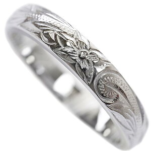 yz[WCX] nCAWG[ O w fB[X Y XeXO T[WJXeX jZbNX jp AM[Ή ςȂOK FFX