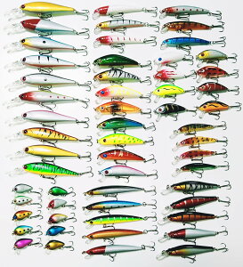 yzLanx. A[Zbg 56 ދZbg   C  k S ނ t[eBO~m[ V[~m[ fB[v~m[ V[oX ubNoX gEg  A[ FFP