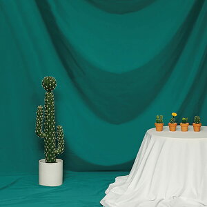 yzLanx. wiz 3m×2m _[NO[ Vtɂ Bep Bez obNXN[ wi wiV[g obNOEh ʐ^ Be X^WIwi XN[V[g |GXe