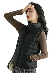 yzMDMYXJP _ExXg fB[X EgCg g h y pt@[xXg RpNg[ MD106 (S, ubN) FFubNATCYFS