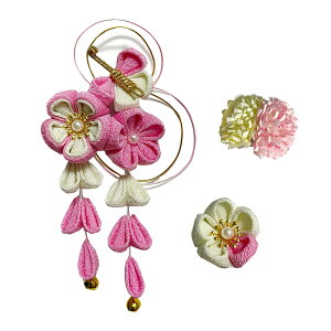 yz[WEJUB] l  U  Ǝ w ܎O   a   pP[Xt q fB[X v[g 3_Zbg FFsNATCYFM