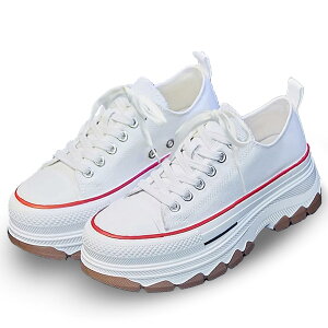 yz[ALVEIN] Xj[J[ V[NbgV[Y X|[c _bhXj[J[ Xj[J[ fB[X  ʋ ʊw LoX FFzCgATCYF24.5 cm