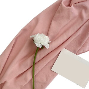 yzLezalic wiz l 300cm*250cm n n B Bep  ʐ^ pr Vtɂ obN XN[ X^WI z FFpXesNATCYFhX LL O 