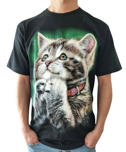 yz[Elixio] [GNVI] TVc  Y gbvX L lR ˂ Jbg\[ L A j[N  邤ȓ CpNg Cxg   ubN FFubNAT