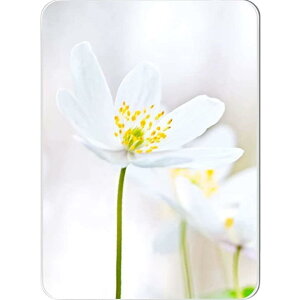 yzVIEAURA bJ[   }Olbg }Olbg~[ Xߎ  EꃍbJ[ Vo[ i14.7cm×10.6cmj FFVo[ATCYF14.7 x 10.6 cm