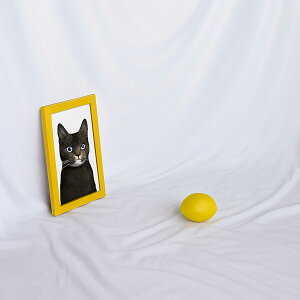 yzwiz 2m×3m ^ n obNXN[ Bep ʐ^Be z X^WI  ܂ pr \ FFzCgATCYFLOʐ^wi X^WIwiz zMwiz YouTube