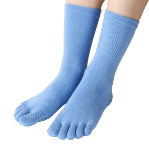 yz[n~Xg] K\bNX ܖ{w J[t\bNX e KC ~ߕt g[jO _X tBbglXp cXgCv 80%Rbg zʋC RۖhL fB[