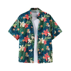 yz[Limspace] AnVc Y fB[X r[`Vc ԕVc  c nC   u₩ 傫TCY  ʋC y ĕ s FFzCgIATC