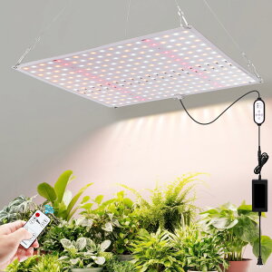 yzCHAMCHOI A琬Cg LED pl 45WyRt uzIR F Ra93-94 PPFD272.66mol/m tXyNg ϗtA Cg 24hTCN 4h/8h/12h^C}[t 10 i 3 F