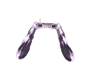 yzDCMA KlR^Ng ̎ U @  i R-428 lW 2 1_ FFNA