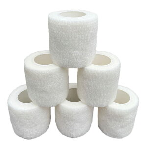 yzASPALAND e[v  e[sO GX`bN of[W ȔS Lk e FFzCg6ATCYF5cm*4.5m