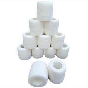 yzASPALAND e[v  e[sO GX`bN of[W ȔS Lk e FFzCg12ATCYF5cm*4.5m