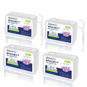 yzDXTECHPRO tX 60{/ ɍ f^tX ׂtX ԗp ₷ Sҗp gїp e Ԑ| FF60{/x4Av240{ATCYFɍ