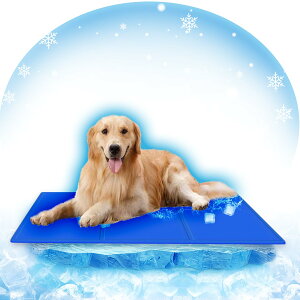 yzybg Ђ}bg  L N[}bgy-8x̊zybg p}bg ėp ⊴WF}bg  }bg ϊ ⊴}bg ЂV[g 􂦂 MǑ΍ l