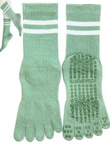 yz[Monlyu] K\bNX 5{w ~ fB[X seBX\bNX K C RۖhL O seBX X|[c g[jO Obv \bNX ׂǂ EFA [