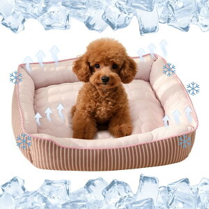 yzybg Ђ}bg ybgxbh p}bg ybgp N[}bg  ybg\t@[ XNGA^ ACXVNn NbV M΍ ڐG⊴ zMf ėp 