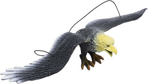 yz͌^h ͌^ |[^u h͌^  qp mߋ Q   FFgybg27 cm