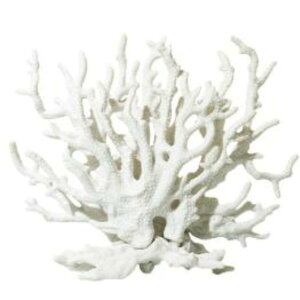 yzASPALAND TS X  ANAE IuWF lHX tFCNTS   p FFzCgATCYFFree