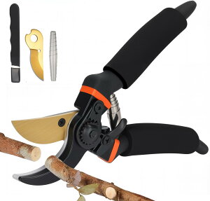 yzChisafly oT~  |pnT~ ΂ y֐n փol u΁zt 4_Zbg |  ؂ꖡ y؂ ₷ ɂ Kтɂ ϗtA A  