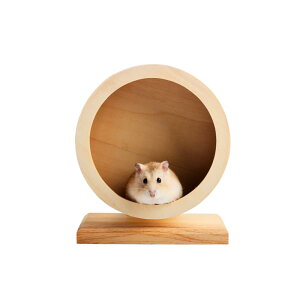 yzTropchou nX^[ 񂵎 É TCYI jO VR    ybg FFi`ATCYFSTCY