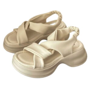 yz[Tropchou] T_ fB[X y ₷ Ȃ ItBX r  FFx[WATCYF25.0 cm M