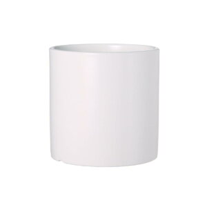 yzTropchou Aؔ 픫 A v^[ A ItBX  CeA FFzCgATCYF