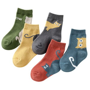 yz[eigenn] LbY C q \bNX 5Zbg j̎q ̎q  ʉ ʊw Jt FFYX03ATCYFL