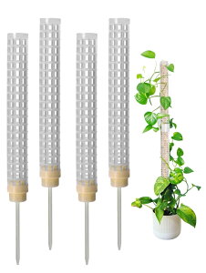 yzS.fields.inc X|[ x 4{Zbg A ϗtA Xe vX`bN | AT|[g FFWhite