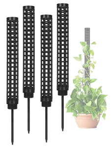 yzS.fields.inc X|[ x 4{Zbg A ϗtA Xe vX`bN | AT|[g FFBlack