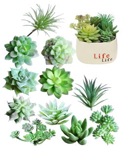 yzS.fields.inc lHAZbg  ~j lHϗtA tFCNO[ T{e  UA FFO[ATCYFSpbN