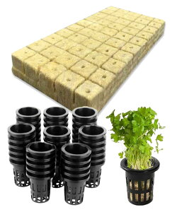 yzS.fields.inc bNE[ubN k͔|p|bg 50Zbg cLbg 25mm FFubN