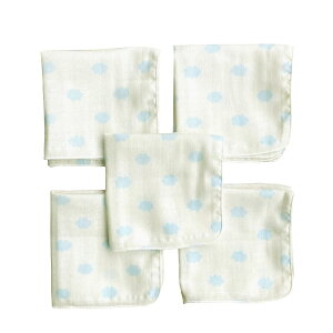 yzK[[nJ` z[~[ { 25×25cm 5 2w xr[ V _uK[[ ͂񂩂 ^I Ԃp FF_(×TbNX)ATCYF25×25cm