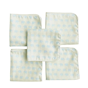 yzK[[nJ` z[~[ { 25×25cm 5 2w xr[ V _uK[[ ͂񂩂 ^I Ԃp FF(×TbNX)