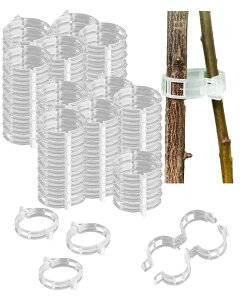 yzS.fields.inc |Nbv UNbv 300Zbg vX`bN Ax  |pЂ FFNAATCYFNA2.5cm