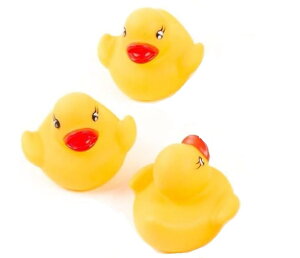 yz[JJbN] Aq  Jt~jAq  킢 ss Aq CG[   ʔ S V C q l FAq F