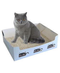 yzS.fields.inc LgC ĝ 5Zbg _{[ h h  s ˂ g ܂肽 FFu[ATCYF^