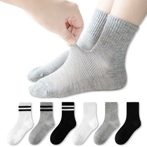 yz[ZGKULAEAOW] q XN[\bNX bV t LbY N[ j̎q ̎q WjA   {[_[ ʊwp V[c 6Zbg FF{[_[6ATCYF14.0-16.0 cm