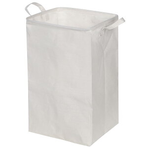 yz[AGAPON] AK| 󂩂 @\EiEfUC̃oXǋ h h[oXPbg i`zCgEubN FFi`zCgATCYF