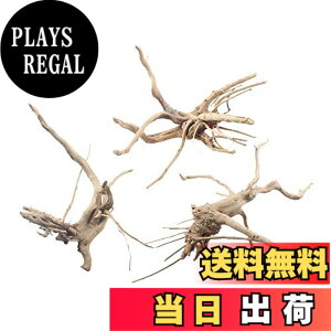 �y���������zemours �����ٗp���� �������� �V�R�N�� �؂̎} �� �� �l�X�ȃT�C�Y 3�p�b�N (S/M-3�p�b�N) �F�F�E�b�h�A�T�C�Y�FS/M-3 Pack