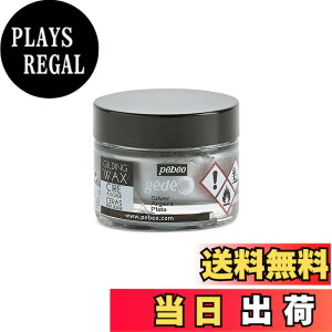�y���������z�M���f�B���O���b�N�X SURFACE_PROTECTION_WAX �F�F�V���o�[