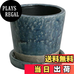 �y���������z�_���g��(Dulton) �A�ؔ� �v�����^�[ �󂯎M�t�� ������ ���픫 �J���[ ���|�p�i CH13-G476_CH15-G527_CH14-G518 COLOR GLAZED POT �F�F�~�b�h�i�C�g�u���[�A�T�C�Y�F5��