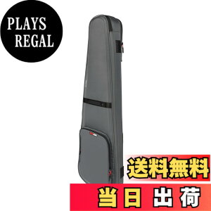 �y���������zGATOR �Q�[�^�[ �G���L�x�[�X�p �M�O�o�b�O G-ICON Series �F�F�O���[
