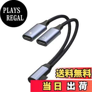 �y���������zAkkerds Type-C�C���z���W���b�N�ϊ��A�_�v�^�i2 in 1�j USB-C�P�[�u�� DAC�f�R�[�_�g�уp�\�R������ ���������[�dUSB-C�A�_�v�^ �[�d�ƒ��̂𓯎��ɍs��